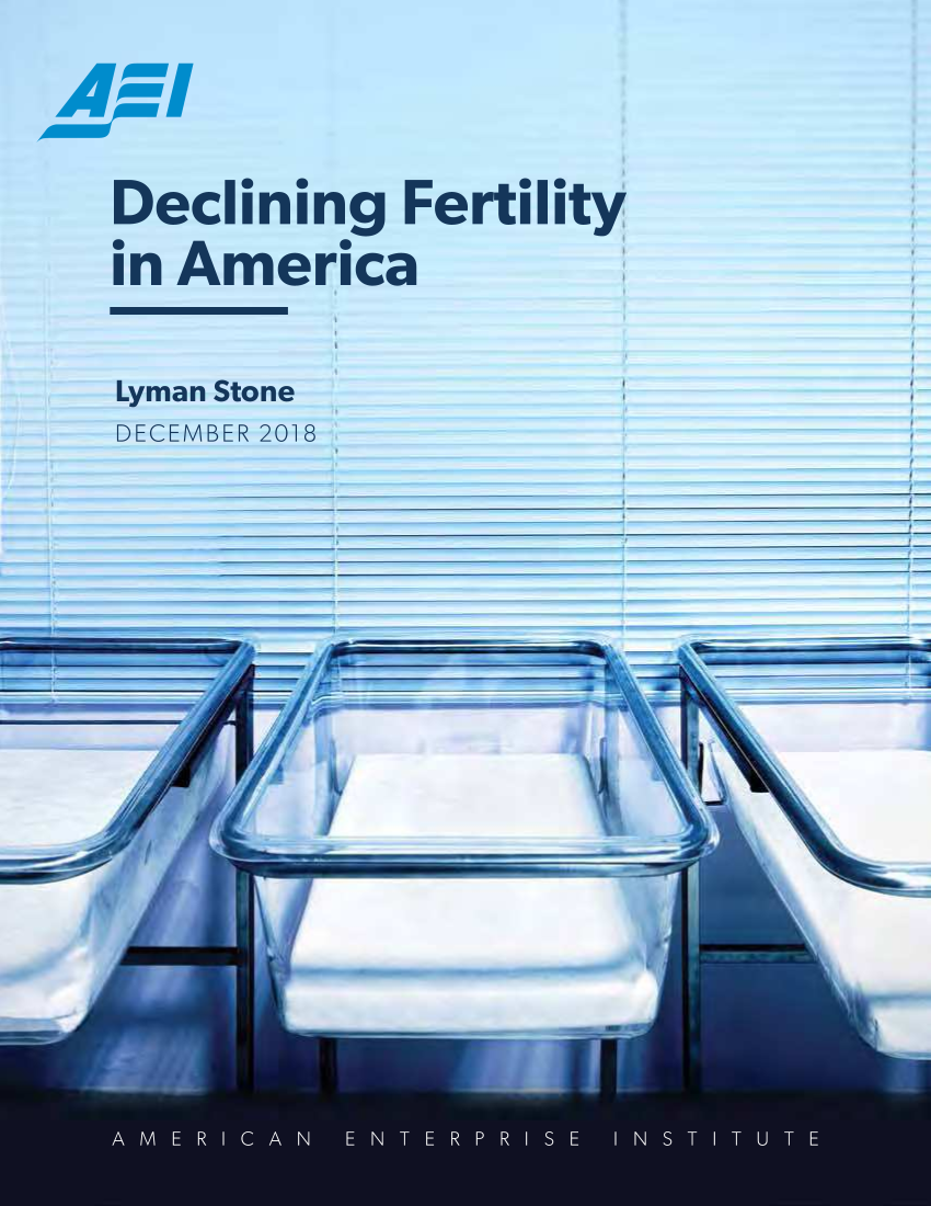 handle is hein.amenin/aeiaagk0001 and id is 1 raw text is: 


Declining Fertility
in America

Lyman Stone
DECEMBER 2018


