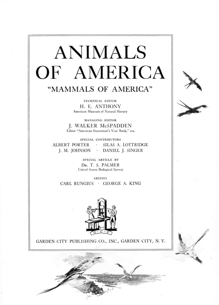 handle is hein.animal/anamam0001 and id is 1 raw text is: 











ANIMALS


OF


AMERICA


MAMMALS OF AMERICA


      TECHNICAL EDITOR
    H. E. ANTHONY
  American Museum of Natural History

      MANAGING EDITOR
 J. WALKER McSPADDEN
Editor American Statesman's Year Book, etc.


   SPECIAL
PORTER
JOHNSON


CONTRIBUTORS
- SILAS A.
- DANIEL


LOTTRIDGE
J. SINGER


       SPECIAL ARTICLE BY
       DR. T. S. PALMER
       United States Biological Survey

           ARTISTS
CARL RUNGIUS      - GEORGE A. KING


                   - C C - P

GARDEN CITY PUBLISHING CO., INC., GARDEN CITY, N. Y.


'1/


N


ALBERT
  J. M.


a.


