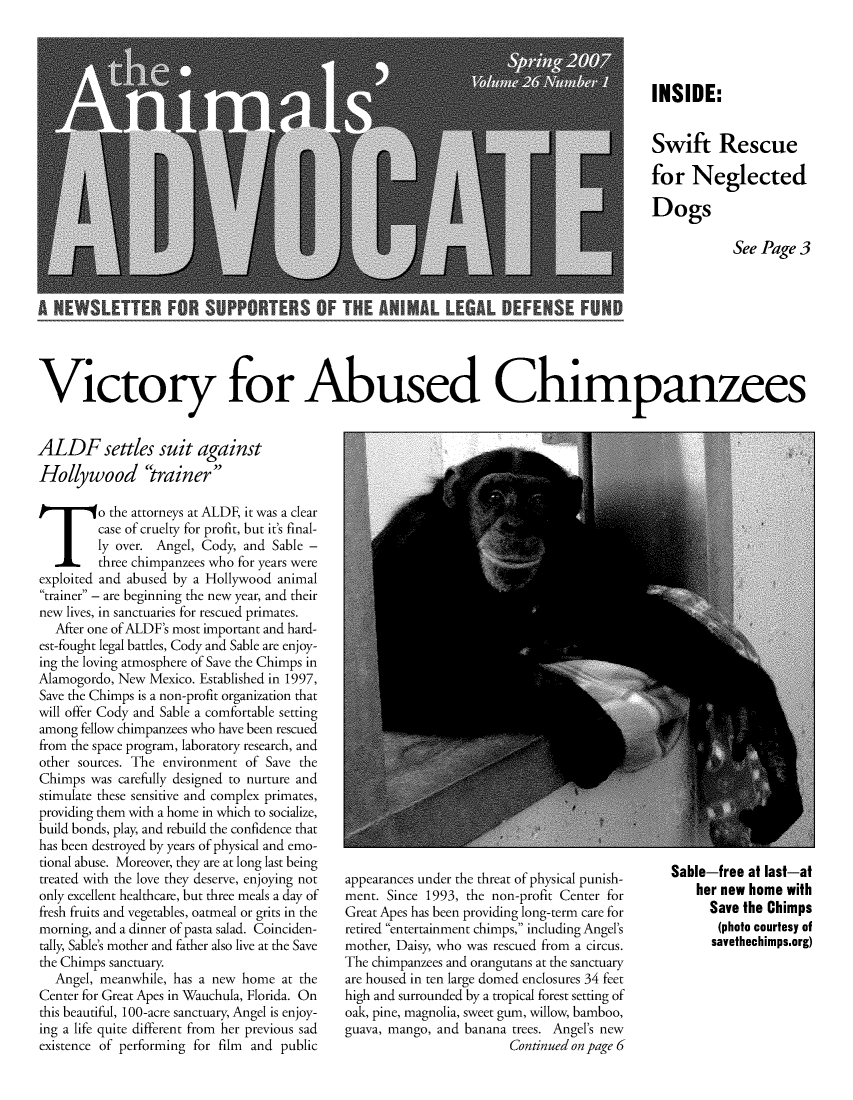 handle is hein.animal/aniad0026 and id is 1 raw text is: INSIDE:
Swift Rescue
for Neglected
Dogs
See Page 3
WTT
Victory for Abused Chimpanzees

ALDF settles suit against
Hollywood 'rainer
T o the attorneys at ALDF, it was a clear
case of cruelty for profit, but it's final-
ly over. Angel, Cody, and Sable -
three chimpanzees who for years were
exploited and abused by a Hollywood animal
trainer - are beginning the new year, and their
new lives, in sanctuaries for rescued primates.
After one of ALDF's most important and hard-
est-fought legal battles, Cody and Sable are enjoy-
ing the loving atmosphere of Save the Chimps in
Alamogordo, New Mexico. Established in 1997,
Save the Chimps is a non-profit organization that
will offer Cody and Sable a comfortable setting
among fellow chimpanzees who have been rescued
from the space program, laboratory research, and
other sources. The environment of Save the
Chimps was carefully designed to nurture and
stimulate these sensitive and complex primates,
providing them with a home in which to socialize,
build bonds, play, and rebuild the confidence that
has been destroyed by years of physical and emo-
tional abuse. Moreover, they are at long last being
treated with the love they deserve, enjoying not
only excellent healthcare, but three meals a day of
fresh fruits and vegetables, oatmeal or grits in the
morning, and a dinner of pasta salad. Coinciden-
tally, Sable's mother and father also live at the Save
the Chimps sanctuary.
Angel, meanwhile, has a new home at the
Center for Great Apes in Wauchula, Florida. On
this beautiful, 100-acre sanctuary, Angel is enjoy-
ing a life quite different from her previous sad
existence of performing for film and public

appearances under the threat of physical punish-
ment. Since 1993, the non-profit Center for
Great Apes has been providing long-term care for
retired entertainment chimps, including Angel's
mother, Daisy, who was rescued from a circus.
The chimpanzees and orangutans at the sanctuary
are housed in ten large domed enclosures 34 feet
high and surrounded by a tropical forest setting of
oak, pine, magnolia, sweet gum, willow, bamboo,
guava, mango, and banana trees. Angel's new
Continued on page 6

Sable-free at last-at
her new home with
Save the Chimps
(photo courtesy of
savethechimps.org)


