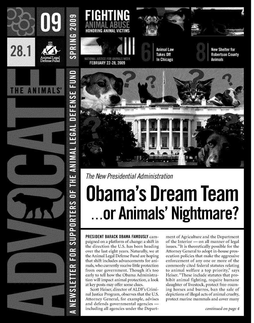 handle is hein.animal/aniad0028 and id is 1 raw text is: EM

The New Presidential Administration

Obama's Dream Team
...or Animals' Nightmare?

PRESIDENT BARACK OBAMA FAMOUSLY cam-
paigned on a platform of change: a shift in
the direction the U.S. has been heading
over the last eight years. Naturally, we at
the Animal Legal Defense Fund are hoping
that shift includes advancements for ani-
mals, who currently receive little protection
from our government. Though it's too
early to tell how the Obama Administra-
tion will impact animal protection, a look
at key posts may offer some clues.
Scott Heiser, director of ALDF's Crimi-
nal Justice Program, observes that the U.S.
Attorney General, for example, advises
and defends governmental agencies -
including all agencies under the Depart-

ment of Agriculture and the Department
of the Interior - on all manner of legal
issues. It is theoretically possible for the
Attorney General to adopt in-house pros-
ecution policies that make the aggressive
enforcement of any one or more of the
commonly cited federal statutes relating
to animal welfare a top priority, says
Heiser. These include statutes that pro-
hibit animal fighting, require humane
slaughter of livestock, protect free-roam-
ing horses and burros, ban the sale of
depictions of illegal acts of animal cruelty,
protect marine mammals and cover many

continued on page 4

I0I


