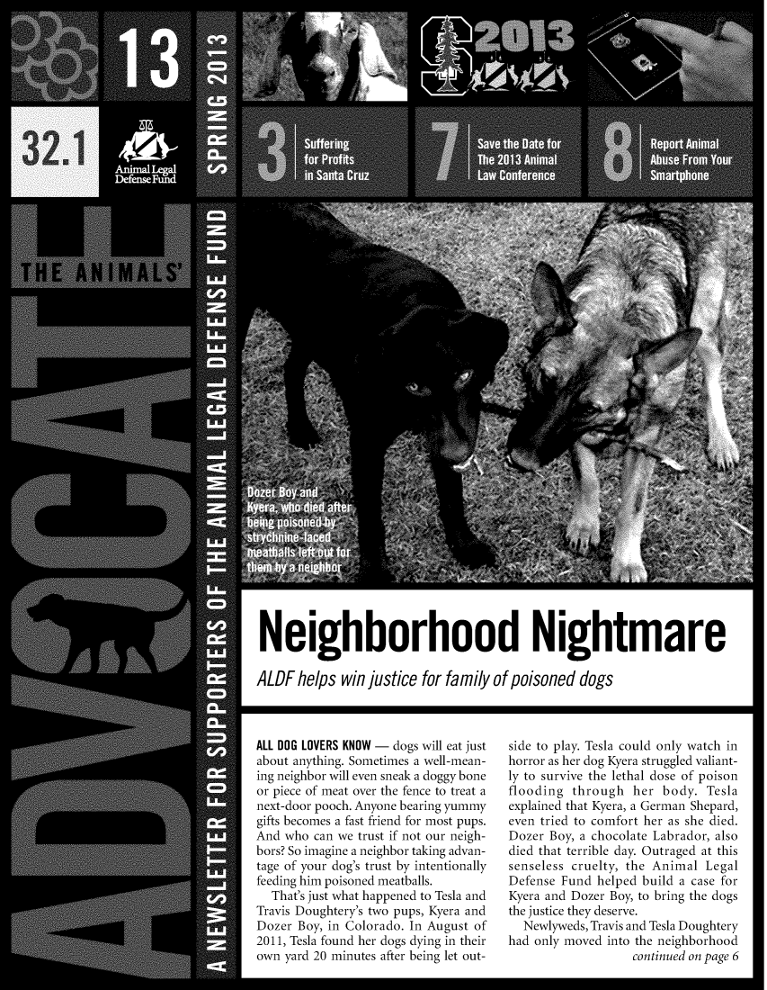 handle is hein.animal/aniad0032 and id is 1 raw text is: Neighborhood Nightmare
ALDF helps win justice for family of poisoned dogs

ALL DOG LOVERS KNOW - dogs will eat just
about anything. Sometimes a well-mean-
ing neighbor will even sneak a doggy bone
or piece of meat over the fence to treat a
next-door pooch. Anyone bearing yummy
gifts becomes a fast friend for most pups.
And who can we trust if not our neigh-
bors? So imagine a neighbor taking advan-
tage of your dog's trust by intentionally
feeding him poisoned meatballs.
That's just what happened to Tesla and
Travis Doughtery's two pups, Kyera and
Dozer Boy, in Colorado. In August of
2011, Tesla found her dogs dying in their
own yard 20 minutes after being let out-

side to play. Tesla could only watch in
horror as her dog Kyera struggled valiant-
ly to survive the lethal dose of poison
flooding through her body. Tesla
explained that Kyera, a German Shepard,
even tried to comfort her as she died.
Dozer Boy, a chocolate Labrador, also
died that terrible day. Outraged at this
senseless cruelty, the Animal Legal
Defense Fund helped build a case for
Kyera and Dozer Boy, to bring the dogs
the justice they deserve.
Newlyweds, Travis and Tesla Doughtery
had only moved into the neighborhood
continued on page 6


