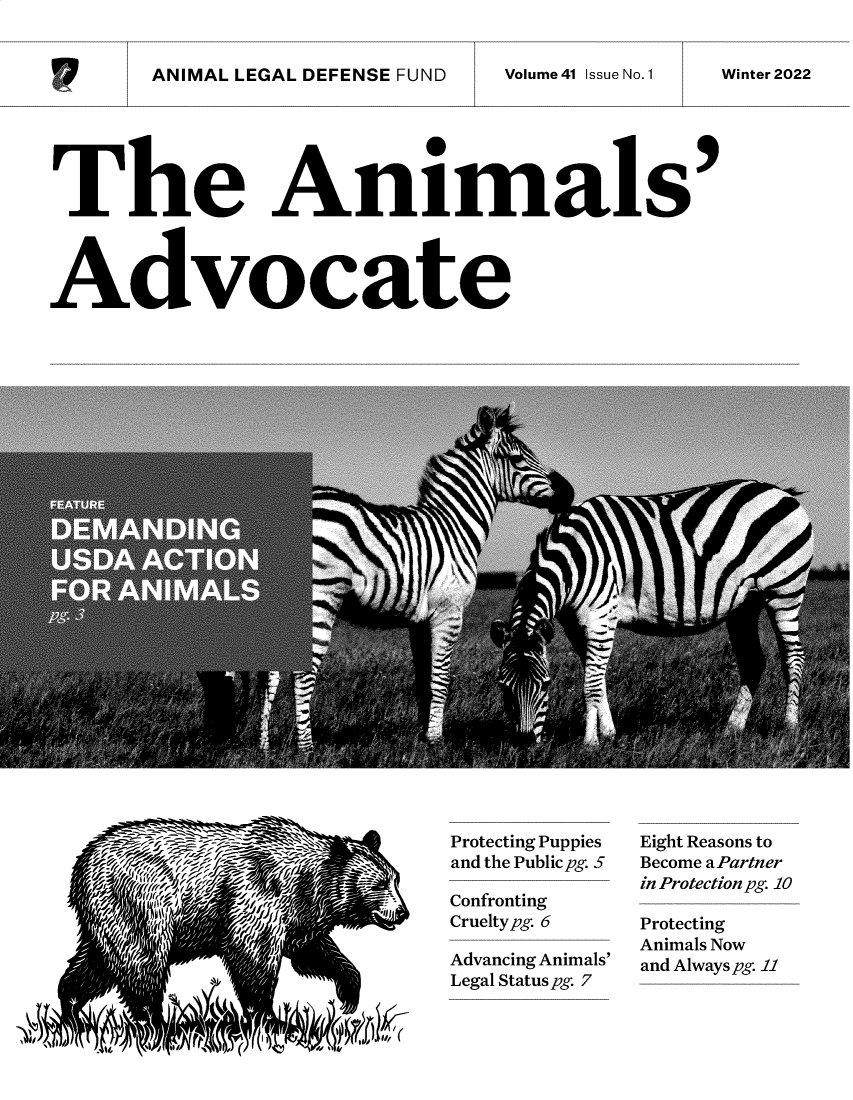 handle is hein.animal/aniad0041 and id is 1 raw text is: ANIMAL LEGAL DEFENSE FUND

Volume 41 Issue No. 1

Winter 2022

The Animals'
Advocate

Protecting Puppies
and the Public pg. 5
Confronting
Crueltypg. 6
Advancing Animals'
Legal Status pg. 7

Eight Reasons to
Become aPartner
in Protection pg. 10
Protecting
Animals Now
and Always pg. 11

9


