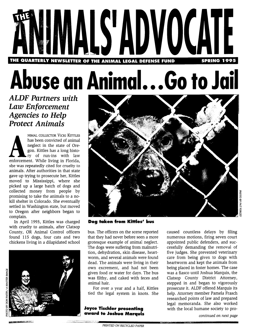 handle is hein.animal/aniad1995 and id is 1 raw text is: 







As                                             I                                                    ' G


Abuse an Animal.. .Go to Jail


ALDF Partners with
Law Enforcement
Agencies to Help
Protect Animals
         NIMAL COLLECTOR VICKI KITTLES
A has been convicted of animal
         neglect in the state of Ore-
         gon. Kittles has a long histo-
         ry of run-ins with law
enforcement. While living in Florida,
she was repeatedly cited for cruelty to
animals. After authorities in that state
gave up trying to prosecute her, Kittles
moved to Mississippi, where she
picked up a large batch of dogs and
collected money from people by
promising to take the animals to a no-
kill shelter in Colorado. She eventually
settled in Washington state, but moved
to Oregon after neighbors began to
complain.
  In April 1993, Kittles was charged
with cruelty to animals, after Clatsop
County, OR Animal Control officers
found 115 dogs, four cats and two
chickens living in a dilapidated school


  Dog taken from Kitties' bus
  bus. The officers on the scene reported
  that they had never before seen a more
  grotesque example of animal neglect.
  The dogs were suffering from malnutri-
  tion, dehydration, skin disease, heart-
  worm, and several animals were found
  dead. The animals were living in their
  own excrement, and had not been
  given food or water for days. The bus
  was filthy, and caked with feces and
  animal hair.
    For over a year and a half, Kittles
  tied the legal system in knots. She

Joyce Tischier presenting
award to Joshua Marquis


caused countless delays by filing
numerous motions, firing seven court
appointed public defenders, and suc-
cessfully demanding the removal of
five judges. She prevented veterinary
care from being given to dogs with
heartworm and kept the animals from
being placed in foster homes. The case
was a fiasco until Joshua Marquis, the
Clatsop County District Attorney,
stepped in and began to vigorously
prosecute it. ALDF offered Marquis its
help. Attorney member Pamela Frasch
researched points of law and prepared
legal memoranda. She also worked
with the local humane society to pro-
               continued on next page


PRINTED ON RECYCLED PAPER


E
uvmumffia


