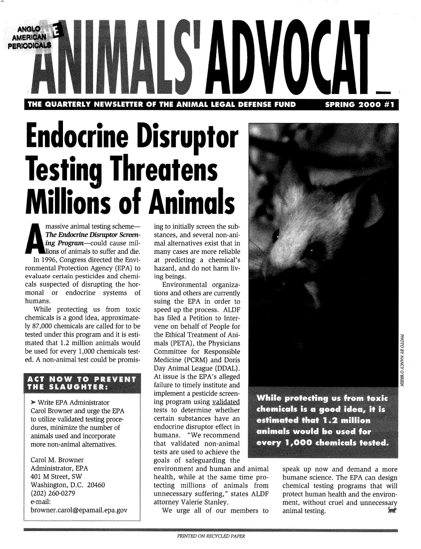 handle is hein.animal/aniad2000 and id is 1 raw text is: eo   !i      I                P h **
i! LO

Endocrine Disruptor
Testing Threatens
Millions of Animals

A massive animal testing scheme-
The Endocrine Disruptor Screen-
ing Program-could cause mil-
lions of animals to suffer and die.
In 1996, Congress directed the Envi-
ronmental Protection Agency (EPA) to
evaluate certain pesticides and chemi-
cals suspected of disrupting the hor-
monal or    endocrine  systems   of
humans.
While protecting us from toxic
chemicals is a good idea, approximate-
ly 87,000 chemicals are called for to be
tested under this program and it is esti-
mated that 1.2 million animals would
be used for every 1,000 chemicals test-
ed. A non-animal test could be promis-
> Write EPA Administrator
Carol Browner and urge the EPA
to utilize validated testing proce-
dures, minimize the number of
animals used and incorporate
more non-animal alternatives.
Carol M. Browner
Administrator, EPA
401 M Street, SW
Washington, D.C. 20460
(202) 260-0279
e-mail:
browner.carol@epamail.epa.gov

ing to initially screen the sub-
stances, and several non-ani-
mal alternatives exist that in
many cases are more reliable
at predicting a chemical's
hazard, and do not harm liv-
ing beings.
Environmental organiza-
tions and others are currently
suing the EPA in order to
speed up the process. ALDF
has filed a Petition to Inter-
vene on behalf of People for
the Ethical Treatment of Ani-
mals (PETA), the Physicians
Committee for Responsible
Medicine (PCRM) and Doris
Day Animal League (DDAL).
At issue is the EPA's alleged
failure to timely institute and
implement a pesticide screen-
ing program using validated
tests to determine whether
certain substances have an
endocrine disruptor effect in
humans. We recommend
that validated non-animal
tests are used to achieve the
goals of safeguarding the
environment and human and animal
health, while at the same time pro-
tecting millions of animals from
unnecessary suffering, states ALDF
attorney Valerie Stanley.
We urge all of our members to

speak up now and demand a more
humane science. The EPA can design
chemical testing programs that will
protect human health and the environ-
ment, without cruel and unnecessary
animal testing.

PRINTED ON RECYCLED PAPER


