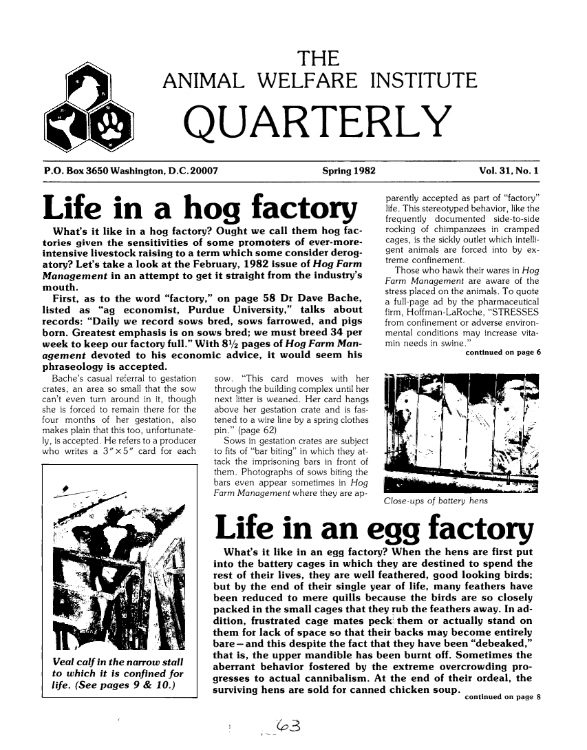 handle is hein.animal/awiqu0031 and id is 1 raw text is: 




                          THE

ANIMAL WELFARE INSTITUTE




    QUARTERLY


P.O. Box 3650 Washington, D.C.20007                  Spring 1982                   Vol. 31, No. 1


Life in a hog factory
  What's it like in a hog factory? Ought we call them hog fac-
tories given the sensitivities of some promoters of ever-more-
intensive livestock raising to a term which some consider derog-
atory? Let's take a look at the February, 1982 issue of Hog Farm
Management in an attempt to get it straight from the industry's
mouth.
  First, as to the word factory, on page 58 Dr Dave Bache,
listed as ag economist, Purdue University, talks about
records: Daily we record sows bred, sows farrowed, and pigs
born. Greatest emphasis is on sows bred; we must breed 34 per
week to keep our factory full. With 81/2 pages of Hog Farm Man-
agement devoted to his economic advice, it would seem his
phraseology is accepted.
  Bache's casual referral to gestation  sow. This card moves with he
crates, an area so small that the sow  through the building complex until he
can't even turn around in it, though  next litter is weaned. Her card hang
she is forced to remain there for the  above her gestation crate and is fas
four months of her gestation, also  tened to a wire line by a spring clothe
makes plain that this too, unfortunate-  pin. (page 62)
ly, is accepted. He refers to a producer  Sows in gestation crates are subjec
who writes a 3x5 card for each to fits of bar bitin in which they at


tack the imprisoning bars in front of
them. Photographs of sows biting the
bars even appear sometimes in Hog
Farm Management where they are ap-


parently accepted as part of factory
life. This stereotyped behavior, like the
frequently documented side-to-side
rocking of chimpanzees in cramped
cages, is the sickly outlet which intelli-
gent animals are forced into by ex-
treme confinement.
  Those who hawk their wares in Hog
Farm Management are aware of the
stress placed on the animals. To quote
a full-page ad by the pharmaceutical
firm, Hoffman-LaRoche, STRESSES
from confinement or adverse environ-
mental conditions may increase vita-
min needs in swine.
               continued on page 6


r
r
s

s

t


Close-ups of battery hens


Life in an egg factory
  What's it like in an egg factory? When the hens are first put
into the battery cages in which they are destined to spend the
rest of their lives, they are well feathered, good looking birds;
but by the end of their single year of life, many feathers have
been reduced to mere quills because the birds are so closely
packed in the small cages that they rub the feathers away. In ad-
dition, frustrated cage mates peck, them or actually stand on
them for lack of space so that their backs may become entirely
bare -and this despite the fact that they have been debeaked,
that is, the upper mandible has been burnt off. Sometimes the
aberrant behavior fostered by the extreme overcrowding pro-
gresses to actual cannibalism. At the end of their ordeal, the
surviving hens are sold for canned chicken soup. continued on page 8


(p3


09


Veal calf in the narrow stall
to which it is confined for
life. (See pages 9 & 10.)


