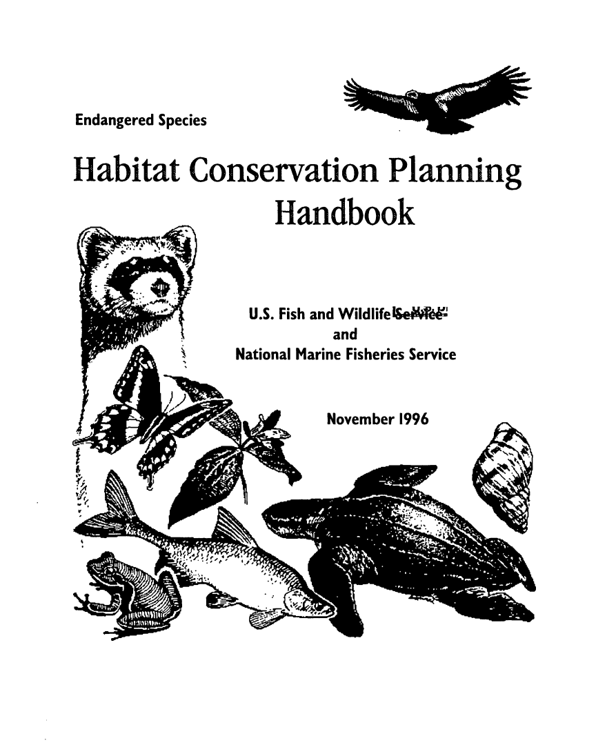 handle is hein.animal/ensphbtc0001 and id is 1 raw text is: 




Endangered Species


Habitat Conservation Planning

                    Handbook


  U.S. Fish and WildlifeK~
          and
National Marine Fisheries Service


L 34P    November 1996


-- v


