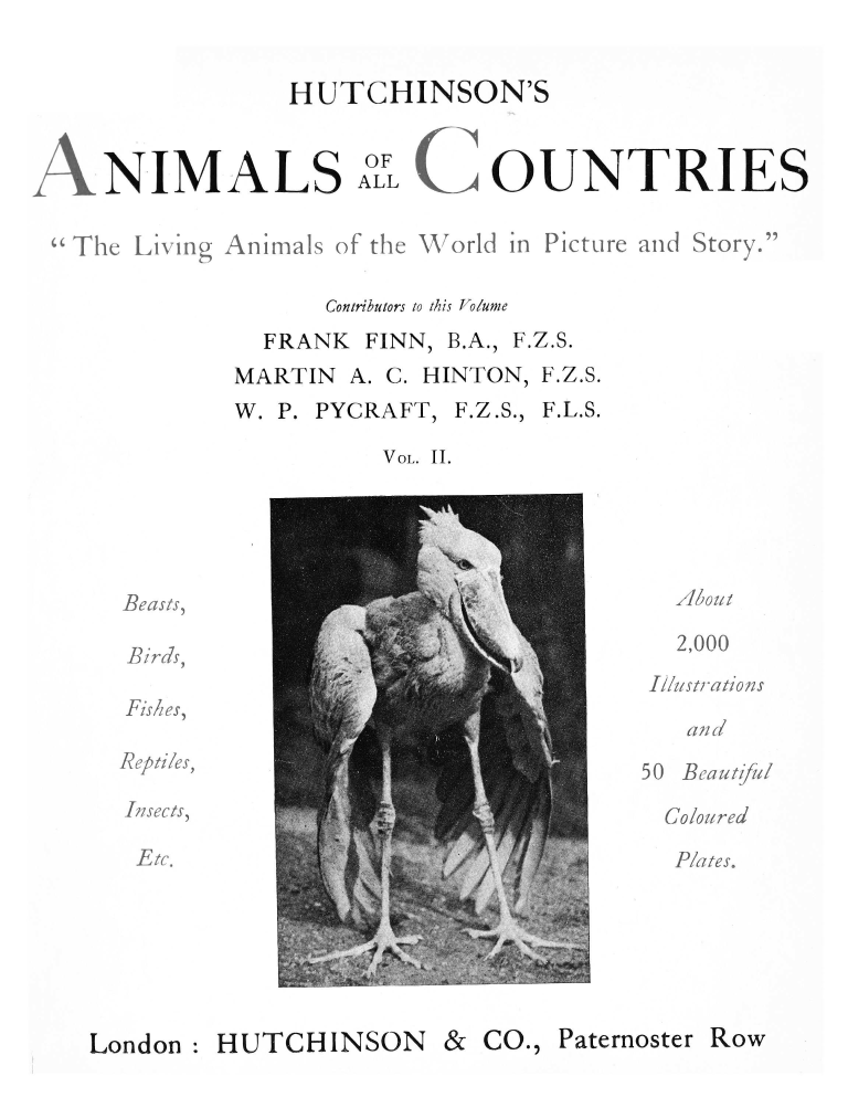 handle is hein.animal/hutchac0002 and id is 1 raw text is: 


HUTCHINSON'S


ANIMALS


OF  (IX~IT
ALLC O 9i1LXLIE


The  Living Animals of the World in Picture and Story.

                  Contibutors to this Volume
              FRANK  FINN, B.A., F.Z.S.
            MARTIN  A. C. HINTON, F.Z.S.


W. P. PYCRAFT, F.Z.S.,


F.L.S.


VOL. 11.


Beasts,

Birds,

Fishes,

Reptiles,

[isects,

Etc.


Ajl:ji


  AZo u/

  2,000

Iustrations

   and

50 Beautiful


   ii~ :~
/ j
   h


   4


&  CO., Paternoster Row


London:


HUTCHINSON


