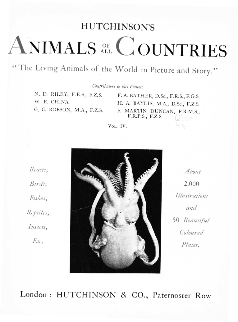 handle is hein.animal/hutchac0004 and id is 1 raw text is: 



HUTCHINSON'S


ANIMALS


OF
ALL


C OUNTRIES


The Living Animals of the World in Picture and Story.


                  Contributors to this I o/ume


N. ). RILEY, F.E.S., F.Z.S.
W. E. CHINA.
G. C. ROBSON, M.A., F.Z.S.


  F. A. BATHER, D.Sc., F.R.S., F.G.S.
  H. A. BAYLIS, M.A., D.Sc., F.Z.S.
  F. MARTIN DUNCAN, F.R.M.S.,
     F. R.P.S., F.Z.S.

VOL. IV.


) (1 iS ,


   , lo0 I,/

   2,000






50 Iicautj'i

  Ciolourea'

  P/cs.


&  CO., Paternoster Row


/ * A/L /,~


London :


HUTCHINSON


