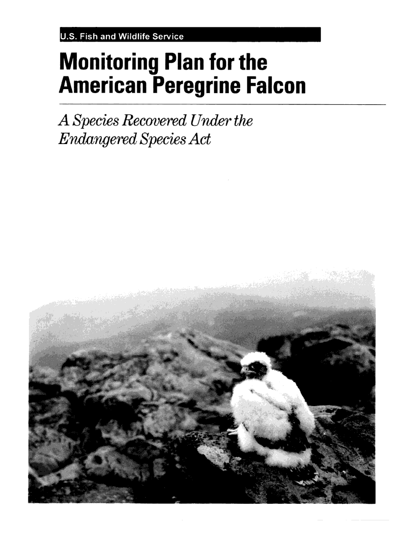 handle is hein.animal/mrpnanpn0001 and id is 1 raw text is: 

Monitoring  Plan  for the
American   Peregrine  Falcon
A Species Recovered Under the
Endangered Species Act


