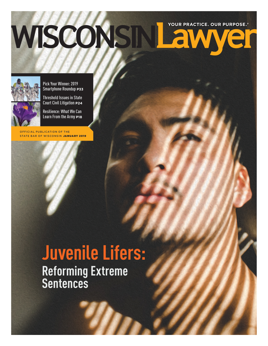 handle is hein.barjournals/wilaw0092 and id is 1 raw text is: 



      'I;





                              0s .
wiScjik









         1    I'oudu

       .11.11 Iheh l   Is u sin  t
          i ti g to             r

       Reilin   I.a  IeCa





 OFFICAL. PUBLICATION~ OF THE
 STATE BAR OF WISCONSIN JANUARY 219


























             'a        a  a




                 Iw


                 a   a    a


