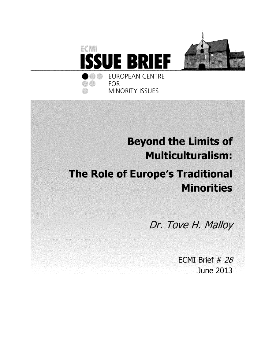 handle is hein.ecmi/ecmiibrf0028 and id is 1 raw text is: ISSUE BRIEF
 EUROPEAN CENTRE
FOR
MINORITY ISSUES

June zuii


