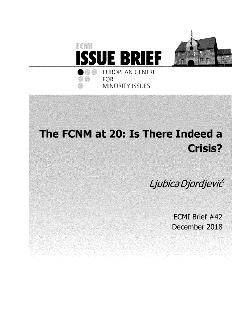 handle is hein.ecmi/ecmiibrf0042 and id is 1 raw text is: 






ISSUE BRIEF
 EUROPEAN CENTRE
      FOR
      MINORITY ISSUES


