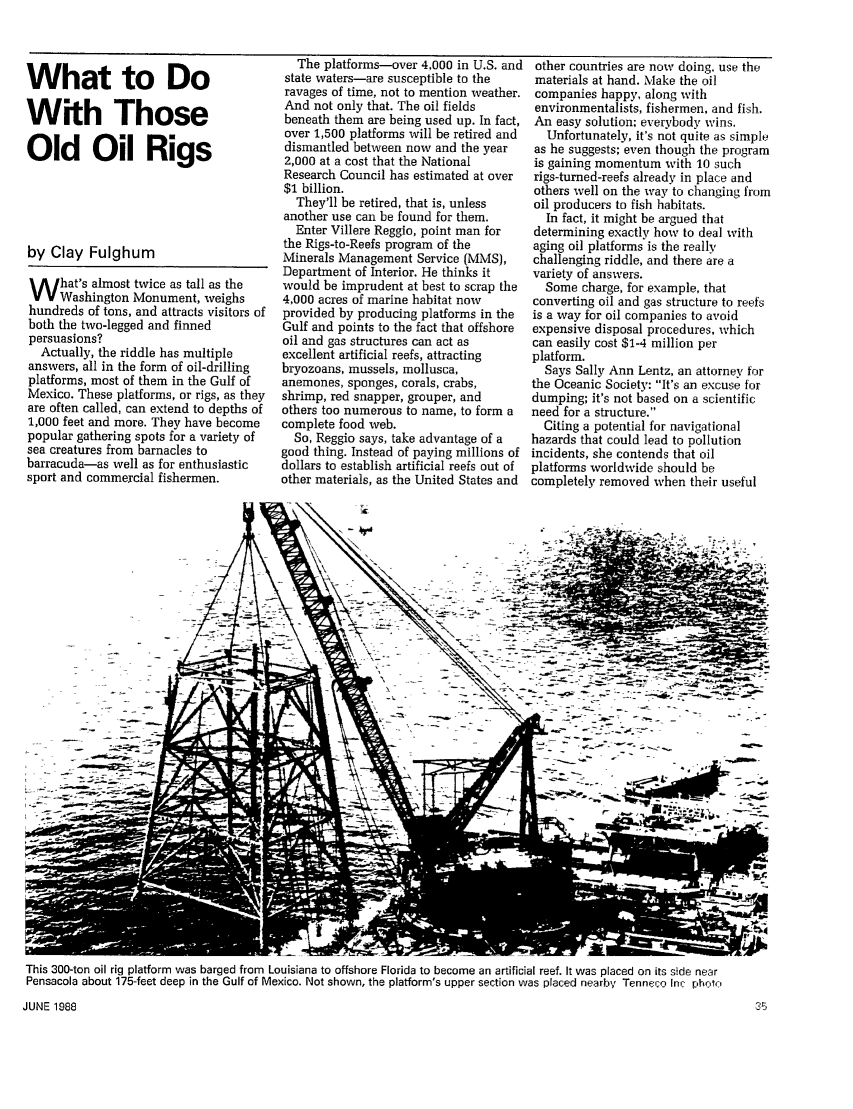 handle is hein.journals/epajrnl14 and id is 208 raw text is: What to Do
With Those
Old Oil Rigs
by Clay Fulghum
W hat's almost twice as tall as the
Washington Monument, weighs
hundreds of tons, and attracts visitors of
both the two-legged and finned
persuasions?
Actually, the riddle has multiple
answers, all in the form of oil-drilling
platforms, most of them in the Gulf of
Mexico. These platforms, or rigs, as they
are often called, can extend to depths of
1,000 feet and more. They have become
popular gathering spots for a variety of
sea creatures from barnacles to
barracuda-as well as for enthusiastic
sport and commercial fishermen.

The platforms-over 4,000 in U.S. and
state waters-are susceptible to the
ravages of time, not to mention weather.
And not only that. The oil fields
beneath them are being used up. In fact,
over 1,500 platforms will be retired and
dismantled between now and the year
2,000 at a cost that the National
Research Council has estimated at over
$1 billion.
They'll be retired, that is, unless
another use can be found for them.
Enter Villere Reggio, point man for
the Rigs-to-Reefs program of the
Minerals Management Service (MMS),
Department of Interior. He thinks it
would be imprudent at best to scrap the
4,000 acres of marine habitat now
provided by producing platforms in the
Gulf and points to the fact that offshore
oil and gas structures can act as
excellent artificial reefs, attracting
bryozoans, mussels, mollusca,
anemones, sponges, corals, crabs,
shrimp, red snapper, grouper, and
others too numerous to name, to form a
complete food web.
So, Reggio says, take advantage of a
good thing. Instead of paying millions of
dollars to establish artificial reefs out of
other materials, as the United States and

other countries are now doing, use the
materials at hand. Make the oil
companies happy, along with
environmentalists, fishermen, and fish.
An easy solution; everybody wins.
Unfortunately, it's not quite as simple
as he suggests; even though the program
is gaining momentum with 10 such
rigs-turned-reefs already in place and
others well on the way to changing from
oil producers to fish habitats.
In fact, it might be argued that
determining exactly how to deal with
aging oil platforms is the really
challenging riddle, and there are a
variety of answers.
Some charge, for example, that
converting oil and gas structure to reefs
is a way for oil companies to avoid
expensive disposal procedures, which
can easily cost $1-4 million per
platform.
Says Sally Ann Lentz, an attorney for
the Oceanic Society: It's an excuse for
dumping; it's not based on a scientific
need for a structure.
Citing a potential for navigational
hazards that could lead to pollution
incidents, she contends that oil
platforms worldwide should be
completely removed when their useful

- . -   -- -s
- - .  -       --  .7-:  - -  -4  - *   f l-r

-7 ~ ~ '

This 300-ton oil rig platform was barged from Louisiana to offshore Florida to become an artificial reef. It was placed on its side near
Pensacola about 175-feet deep in the Gulf of Mexico. Not shown, the platform's upper section was placed nearby Tenneco Inc photo
JUNE 1988                                                                                                  35



