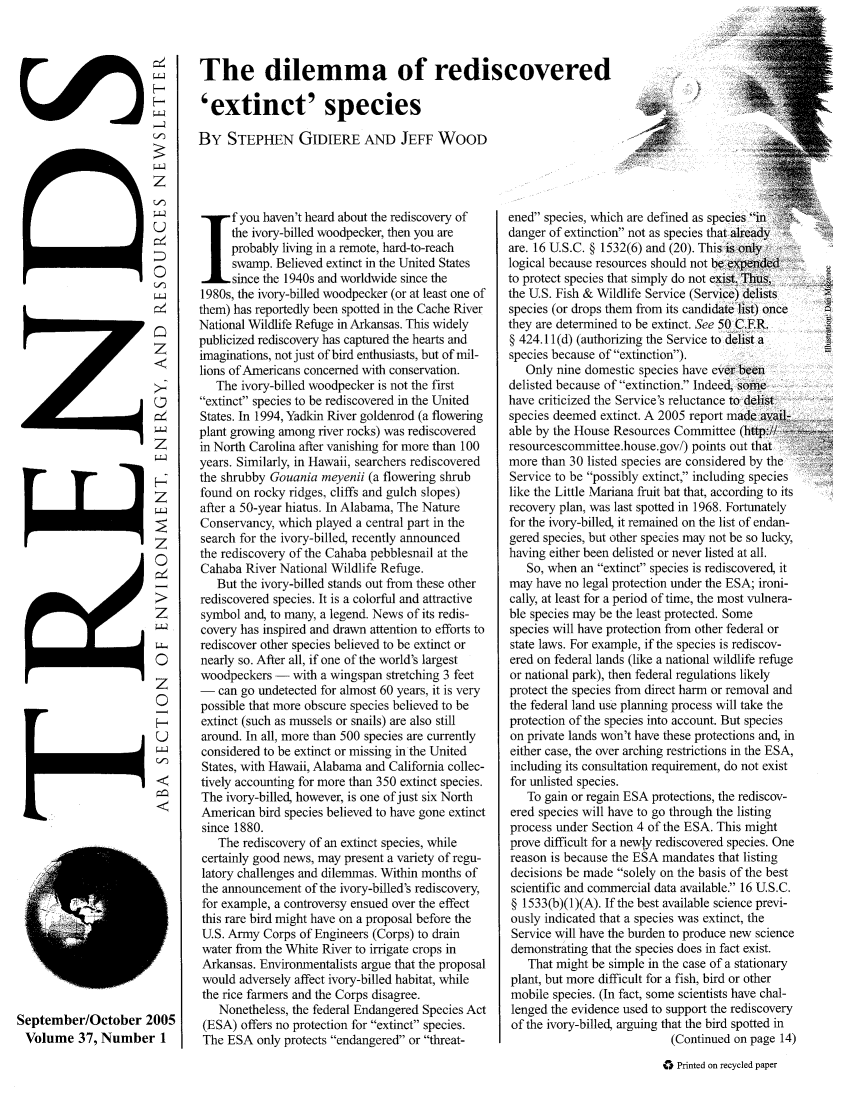 handle is hein.journals/trends37 and id is 1 raw text is: 


The dilemma of rediscovered
'extinct' species

BY STEPHEN GIDIERE AND JEFF WOOD


f you haven't heard about the rediscovery of
      the ivory-billed woodpecker, then you are
      probably living in a remote, hard-to-reach
      swamp. Believed extinct in the United States
      since the 1940s and worldwide since the
1980s, the ivory-billed woodpecker (or at least one of
them) has reportedly been spotted in the Cache River
National Wildlife Refuge in Arkansas. This widely
publicized rediscovery has captured the hearts and
imaginations, not just of bird enthusiasts, but of mil-
lions of Americans concerned with conservation.
   The ivory-billed woodpecker is not the first
extinct species to be rediscovered in the United
States. In 1994, Yadkin River goldenrod (a flowering
plant growing among river rocks) was rediscovered
in North Carolina after vanishing for more than 100
years. Similarly, in Hawaii, searchers rediscovered
the shrubby Gouania meyenii (a flowering shrub
found on rocky ridges, cliffs and gulch slopes)
after a 50-year hiatus. In Alabama, The Nature
Conservancy, which played a central part in the
search for the ivory-billed, recently announced
the rediscovery of the Cahaba pebblesnail at the
Cahaba River National Wildlife Refuge.
   But the ivory-billed stands out from these other
rediscovered species. It is a colorful and attractive
symbol and, to many, a legend. News of its redis-
covery has inspired and drawn attention to efforts to
rediscover other species believed to be extinct or
nearly so. After all, if one of the world's largest
woodpeckers - with a wingspan stretching 3 feet
- can go undetected for almost 60 years, it is very
possible that more obscure species believed to be
extinct (such as mussels or snails) are also still
around. In all, more than 500 species are currently
considered to be extinct or missing in the United
States, with Hawaii, Alabama and California collec-
tively accounting for more than 350 extinct species.
The ivory-billed, however, is one of just six North
American bird species believed to have gone extinct
since 1880.
   The rediscovery of an extinct species, while
 certainly good news, may present a variety of regu-
 latory challenges and dilemmas. Within months of
 the announcement of the ivory-billed's rediscovery,
 for example, a controversy ensued over the effect
 this rare bird might have on a proposal before the
 U.S. Army Corps of Engineers (Corps) to drain
 water from the White River to irrigate crops in
 Arkansas. Environmentalists argue that the proposal
 would adversely affect ivory-billed habitat, while
 the rice farmers and the Corps disagree.
   Nonetheless, the federal Endangered Species Act
 (ESA) offers no protection for extinct species.
 The ESA only protects endangered or threat-


ened species, which are defined as species in
danger of extinction not as species that already
are. 16 U.S.C. § 1532(6) and (20). This is only
logical because resources should not be expended
to protect species that simply do not exist. Thus,
the U.S. Fish & Wildlife Service (Service) delists
species (or drops them from its candidate list) once
they are determined to be extinct. See 50 C.F.R.
§ 424.1 (d) (authorizing the Service to delist a
species because of extinction).
   Only nine domestic species have ever been
delisted because of extinction. Indeed, some
have criticized the Service's reluctance to delist
species deemed extinct. A 2005 report made a     -ai~ ;
able by the House Resources Committee (http://
resourcescommittee.house.gov/) points out that
more than 30 listed species are considered by the
Service to be possibly extinct, including species
like the Little Mariana fruit bat that, according to its
recovery plan, was last spotted in 1968. Fortunately
for the ivory-billed, it remained on the list of endan-
gered species, but other species may not be so lucky,
having either been delisted or never listed at all.
   So, when an extinct species is rediscovered, it
may have no legal protection under the ESA; ironi-
cally, at least for a period of time, the most vulnera-
ble species may be the least protected. Some
species will have protection from other federal or
state laws. For example, if the species is rediscov-
ered on federal lands (like a national wildlife refuge
or national park), then federal regulations likely
protect the species from direct harm or removal and
the federal land use planning process will take the
protection of the species into account. But species
on private lands won't have these protections and, in
either case, the over arching restrictions in the ESA,
including its consultation requirement, do not exist
for unlisted species.
   To gain or regain ESA protections, the rediscov-
ered species will have to go through the listing
process under Section 4 of the ESA. This might
prove difficult for a newly rediscovered species. One
reason is because the ESA mandates that listing
decisions be made solely on the basis of the best
scientific and commercial data available. 16 U.S.C.
§ 1533(b)(1)(A). If the best available science previ-
ously indicated that a species was extinct, the
Service will have the burden to produce new science
demonstrating that the species does in fact exist.
   That might be simple in the case of a stationary
plant, but more difficult for a fish, bird or other
mobile species. (In fact, some scientists have chal-
lenged the evidence used to support the rediscovery
of the ivory-billed, arguing that the bird spotted in
                            (Continued on page 14)
                          C# Printed on recycled paper


September/October 2005
Volume 37, Number 1


W4


