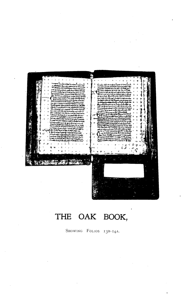 handle is hein.selden/okbks0001 and id is 1 raw text is: 


















IVV-Z~


4      4 4  F
2           1
    ~ ~     1?


       ~ I


           I


           I
 -~      ~  Al


THE OAK BOOK,


SHOWING FOLIOS 13B-I4+A.


