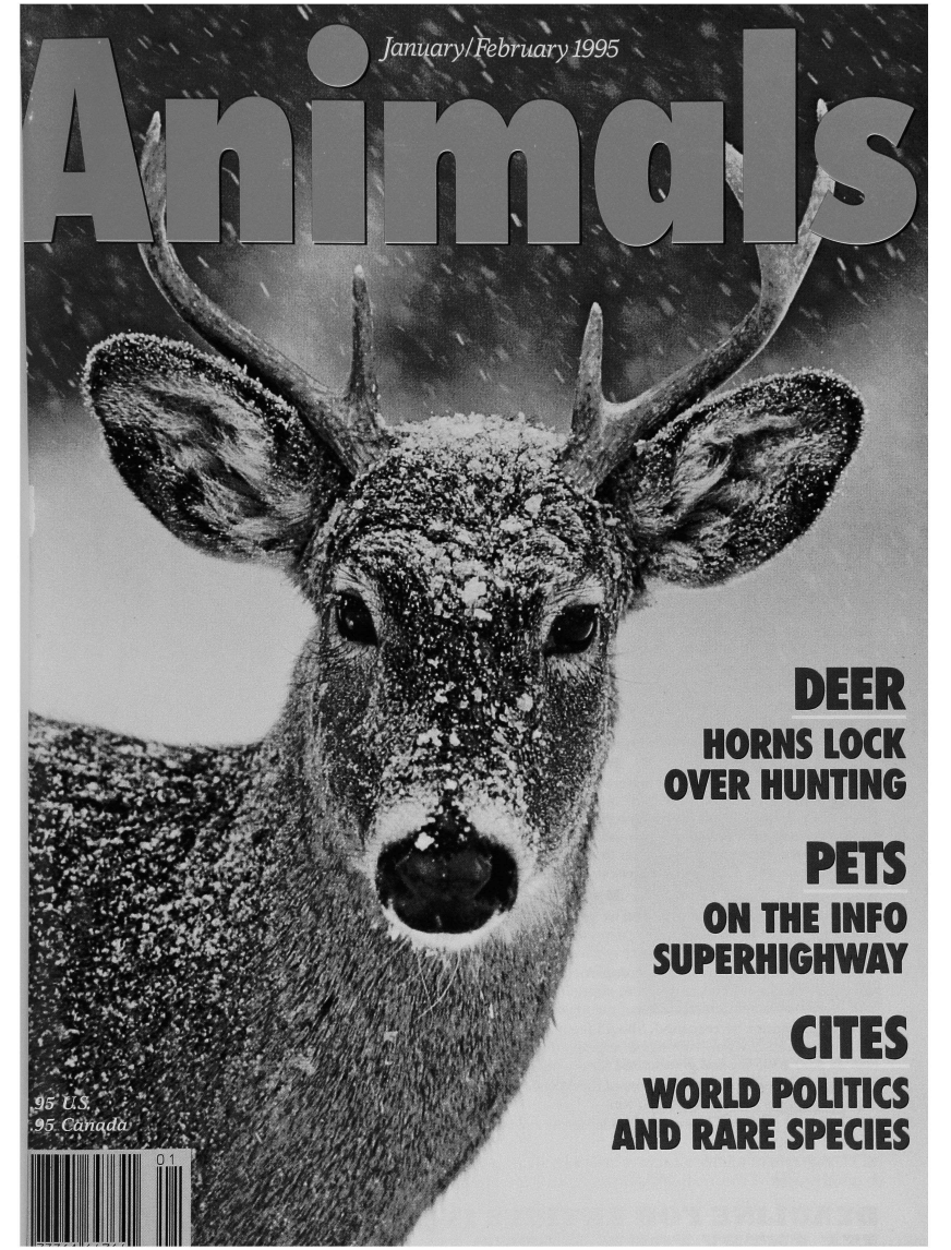 handle is hein.journals/animals128 and id is 1 raw text is: 4       I.            I f,.        Ac-        k        1.4 i        .. 1MR.  '1flil        DEER    HORNS LOCK  OVER HUNTING         PETS    ON THE INFO  SUPERHIGHWAY        CITES WORLD POLITICSAND RARE SPECIES