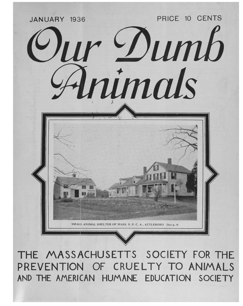 handle is hein.journals/animals69 and id is 1 raw text is: +          lTHE   MASSACHUSETTSPREVENTIONSOCIETY   FOR THEOF  CRUELTY TO ANIMALSAND THE AMERICAN HUMANE   EDUCATION  SOCIETYU>45K  N/SMALL ANIMAL SHELTER OF MASS. S. P. C. A., ATTLEBORO (See p. 9)Iil10 CENTSPRICEJANUARY 1936lyl /4d f,