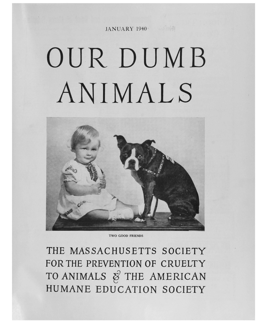 handle is hein.journals/animals73 and id is 1 raw text is: JANUARY 1940OUR DUMBANIMALS   AW         TWO GOOD FRIENDSTHE MASSACHUSETTS SOCIETYFOR THE PREVENTION OF CRUELTYTO ANIMALS 6 THE AMERICANHUMANE EDUCATION SOCIETY