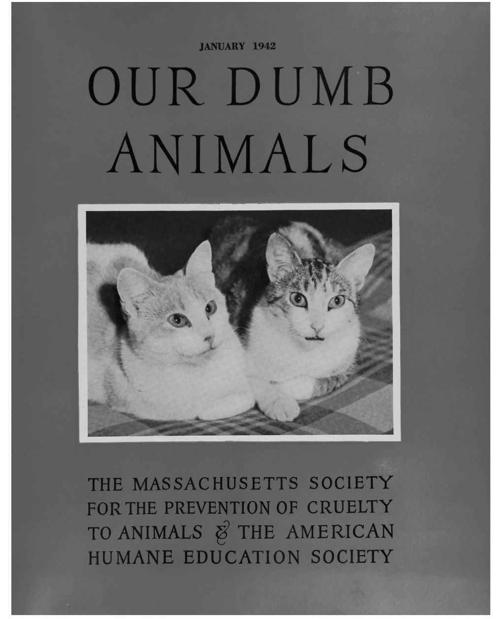 handle is hein.journals/animals75 and id is 1 raw text is: JANUARY 1942OURDUMBANIMALSTHE MASSACHUSETTS SOCIETYFOR THE PREVENTION OF CRUELTYTO ANIMALS 6 THE AMERICANHUMANE EDUCATION SOCIETY